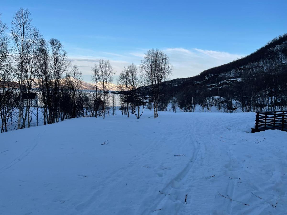 Aurora Woods Villa Skjervoy Eksteriør billede